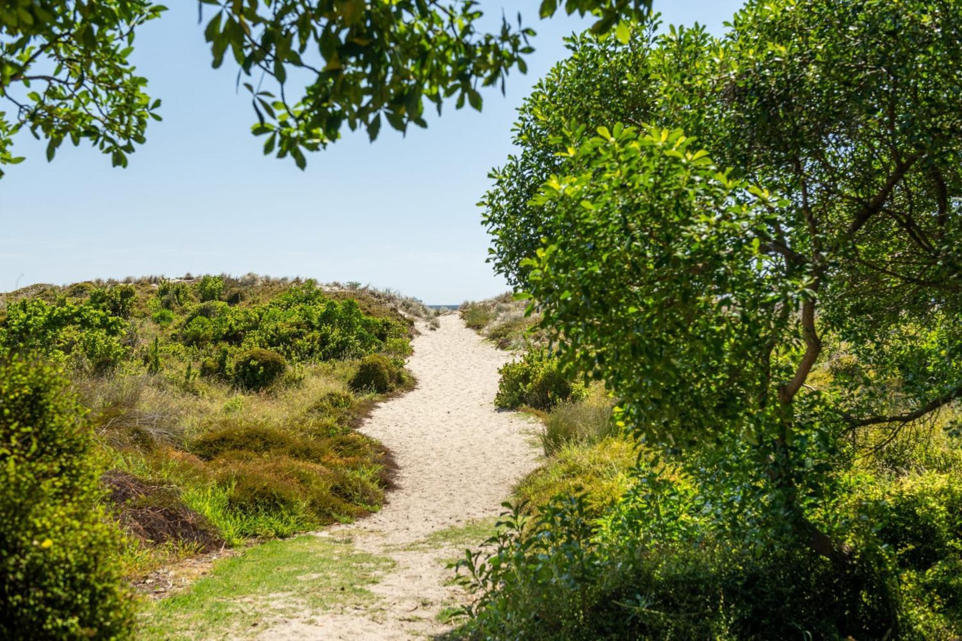 Ocean Beach Getaway Mount Maunganui Zewnętrze zdjęcie